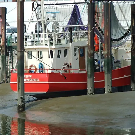 Nordseeperle Daire